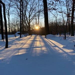 Meet your Posher, Judy